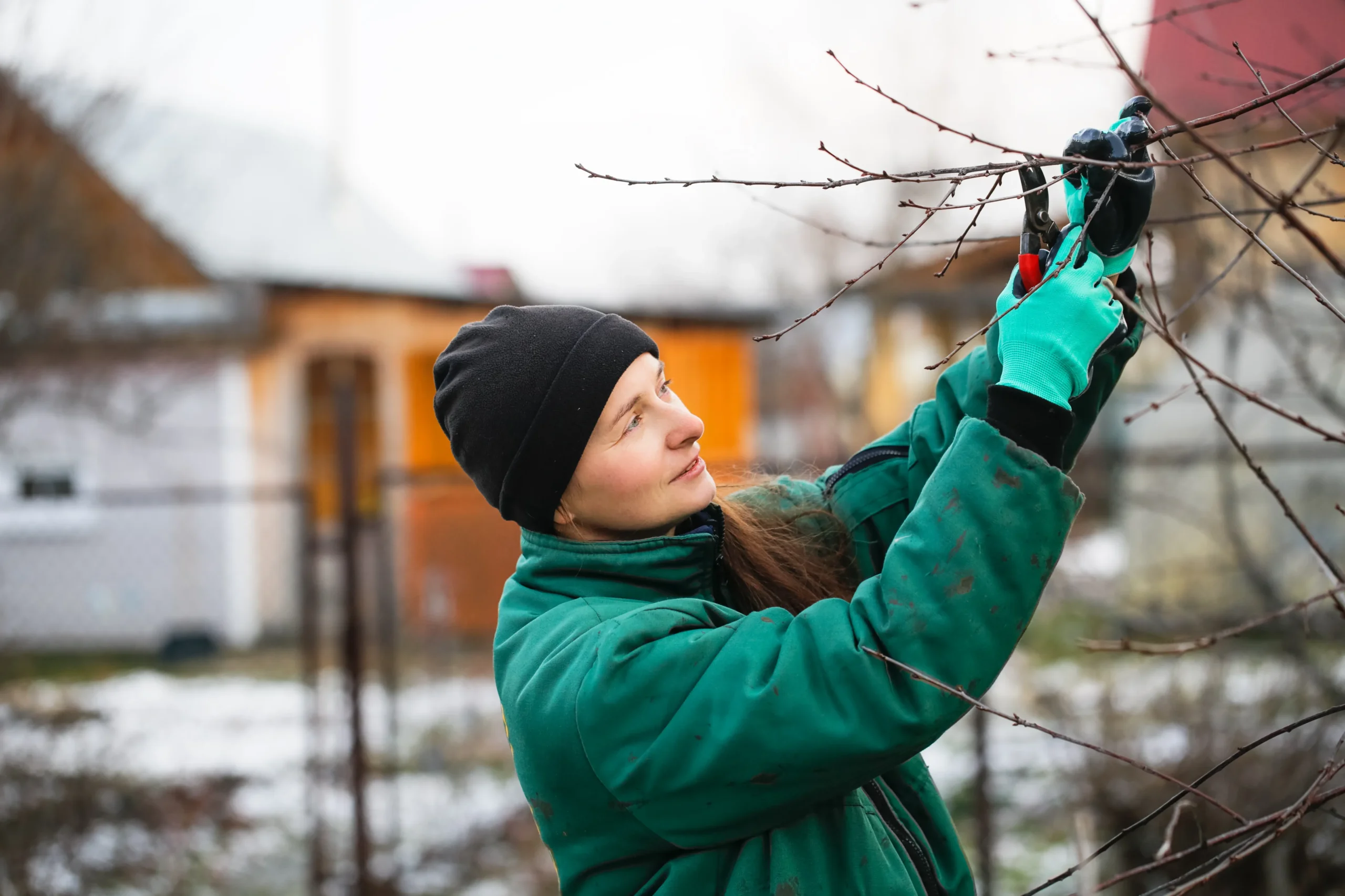 Woman pruning a tree