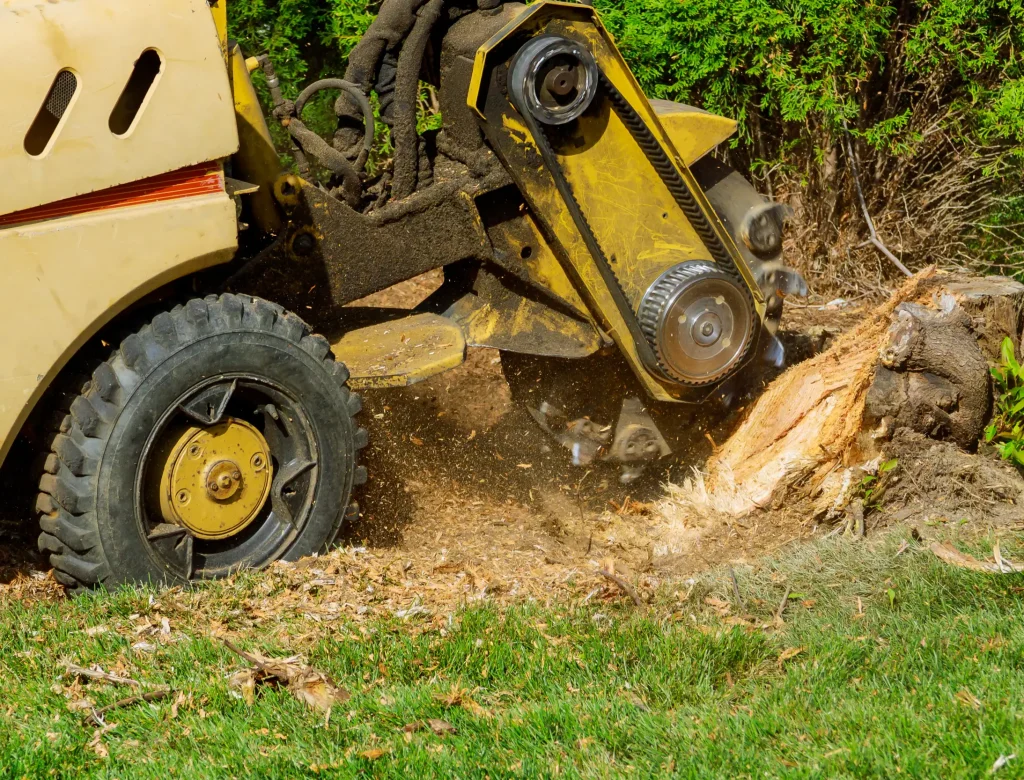 machine excavating ground