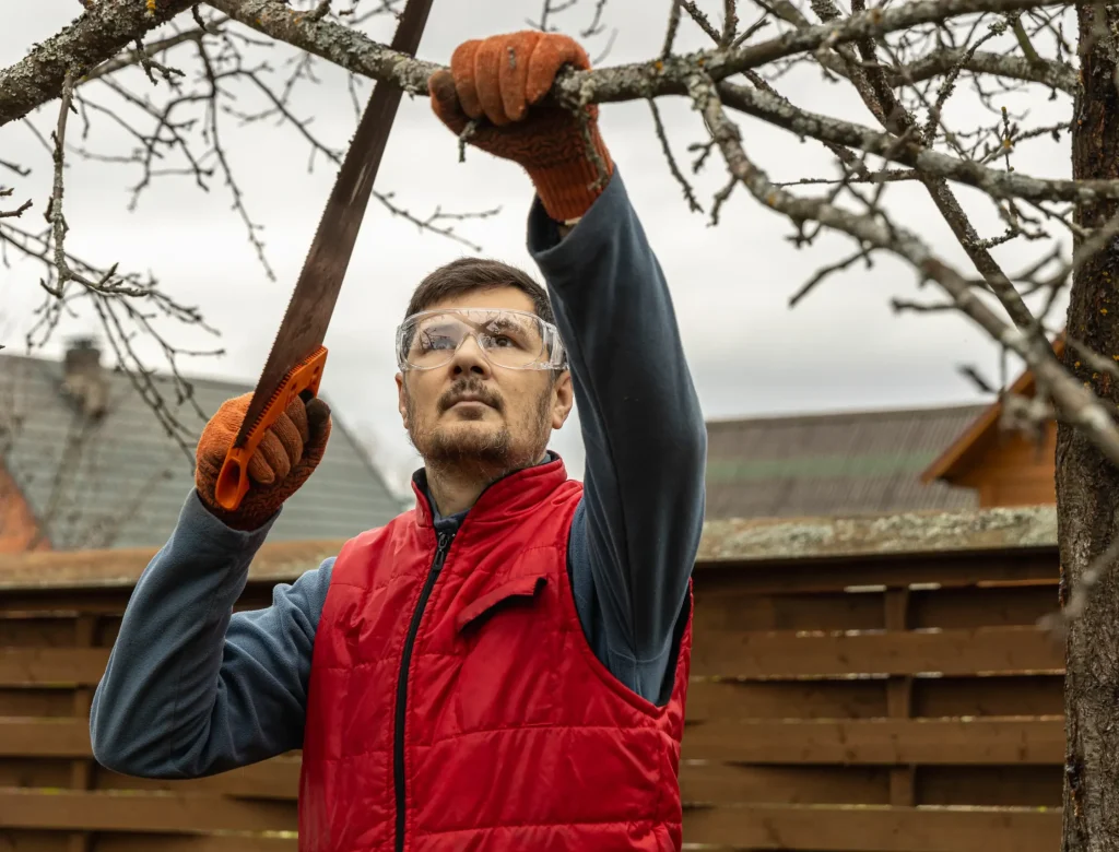 Tree Pruning